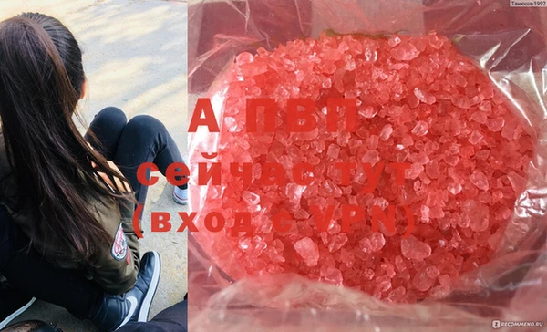 не бодяженный Беломорск